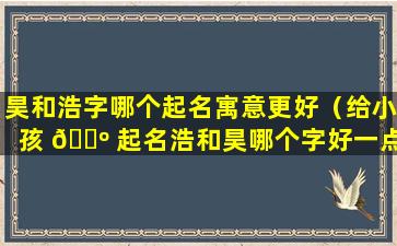 昊和浩字哪个起名寓意更好（给小孩 🐺 起名浩和昊哪个字好一点 🐅 ）